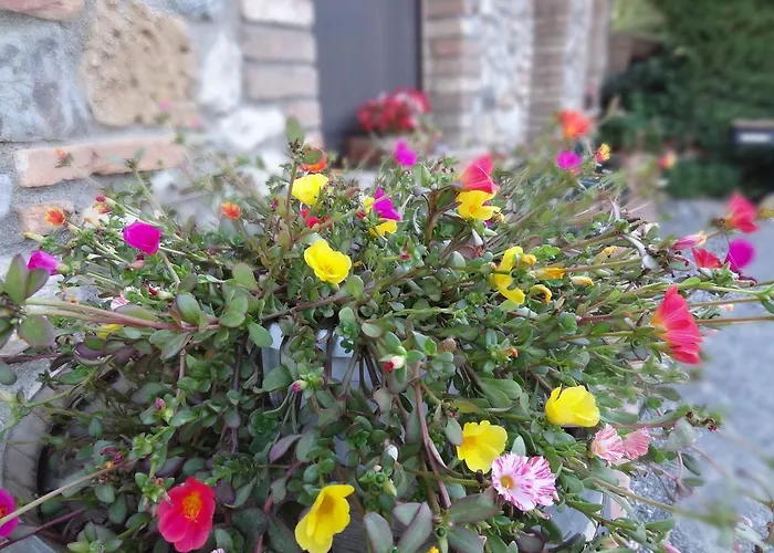 Agriturismo Bandinacci
